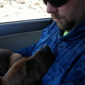 Meet your Posher, Bruce